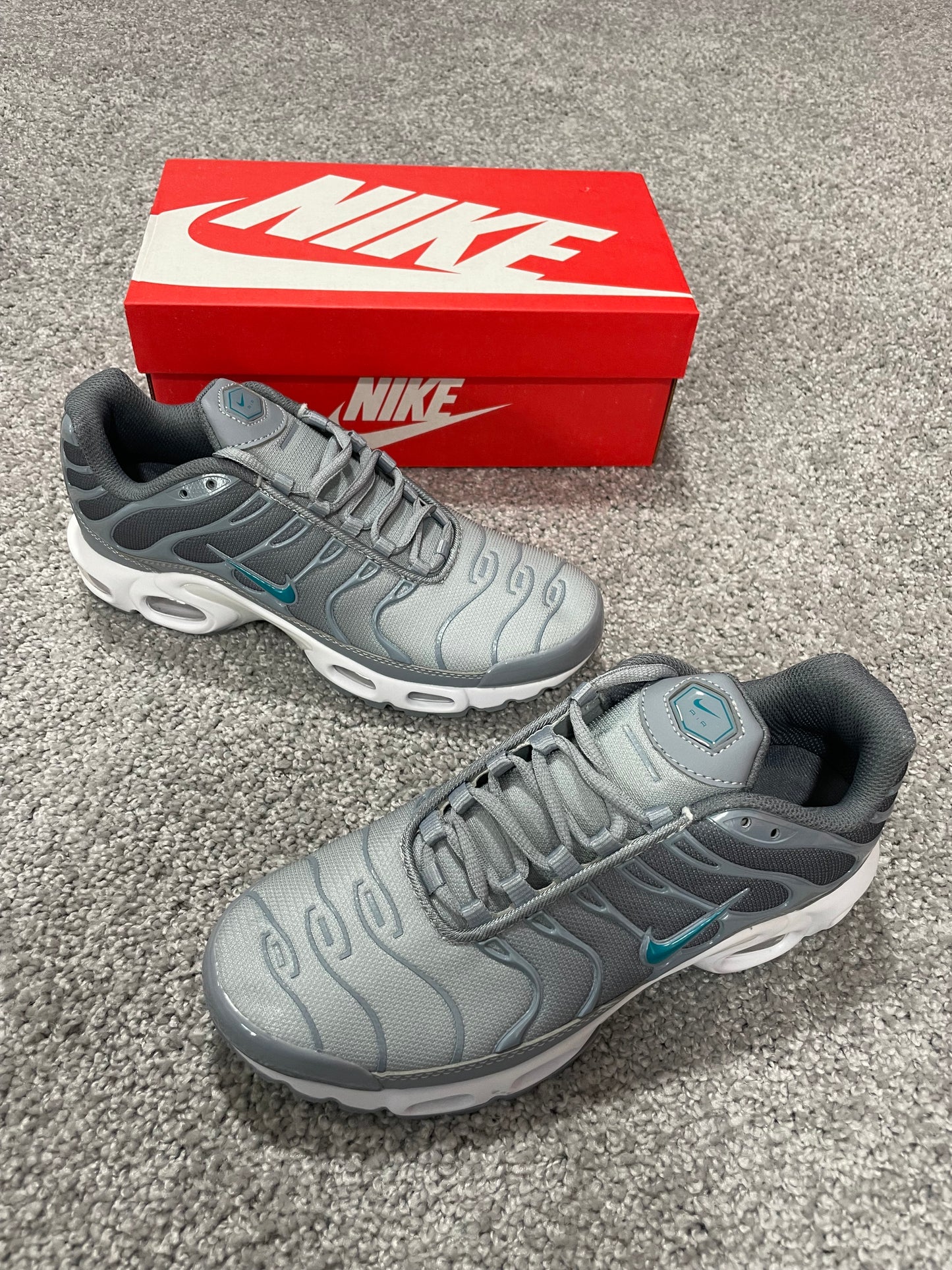 Nike Air Max TN - Gris/Blanco