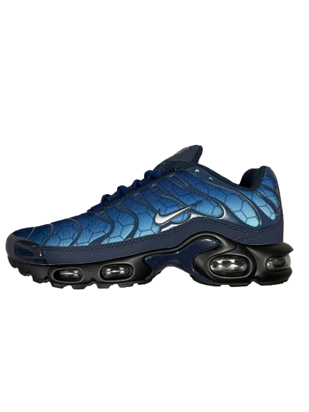 Nike Air Max TN - Azul Marino